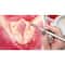 Silver Brush Limited Silverwhite® Brights Brush Set